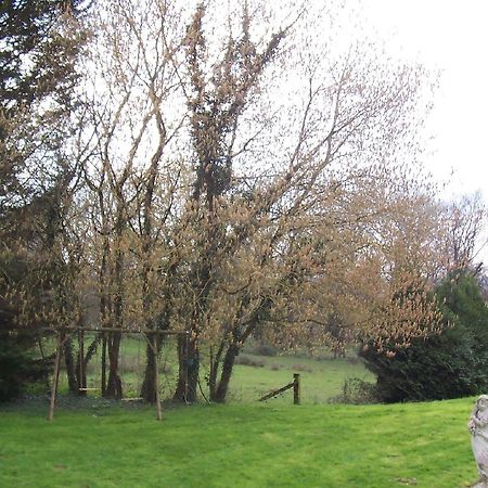 Bed and Breakfast Chateau Champigny Maillet  Екстер'єр фото