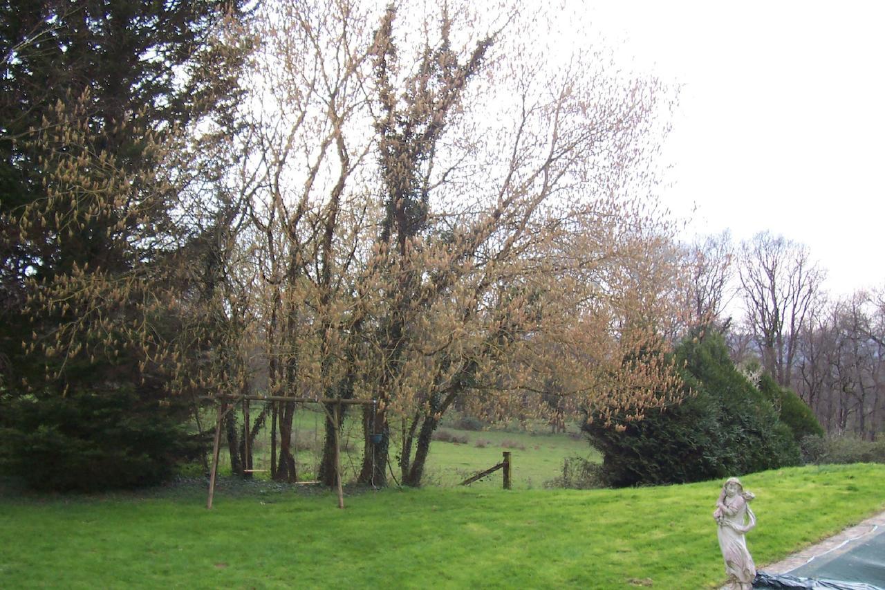 Bed and Breakfast Chateau Champigny Maillet  Екстер'єр фото